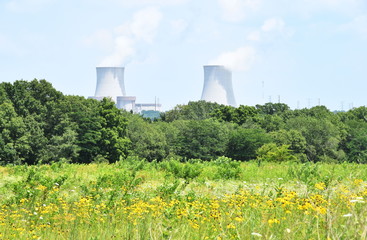 Nuclear Plant Cooling Towers