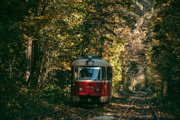 Naklejka na ściany i meble Old red tram in the autumn forest