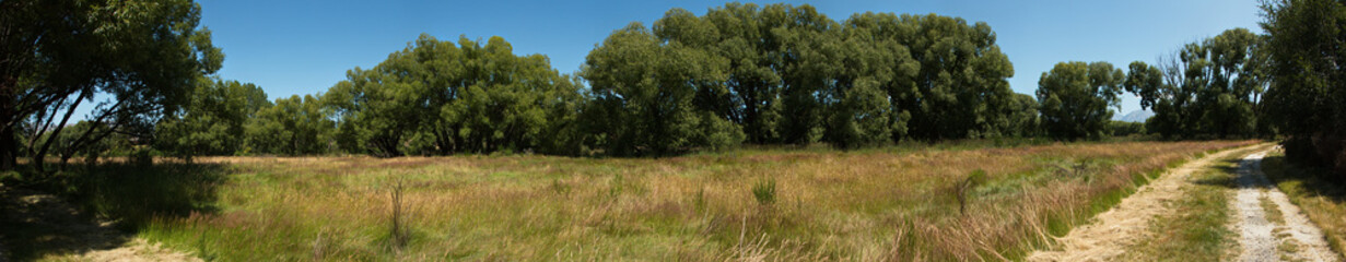 Panoramic view of the walking path at Twizel River in Twizel on South Island of New Zealand