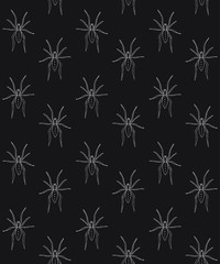 Vector seamless pattern of white hand drawn doodle sketch spider isolated on black background