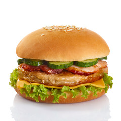Appetizing burger isolated on white background