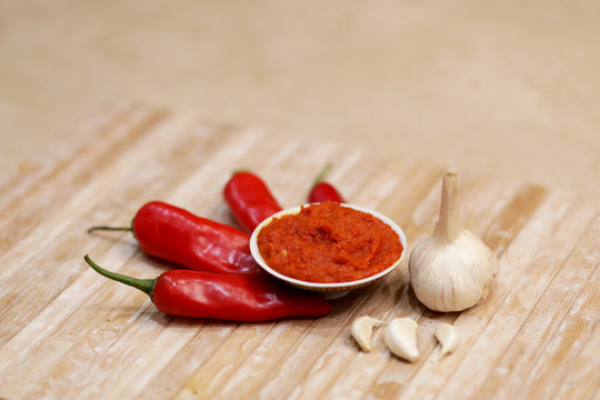 Indian Rajasthani Garlic Sauce / Paste (Lahsun Chatney)