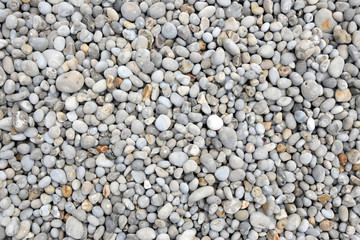 Kiesel an einem Strand