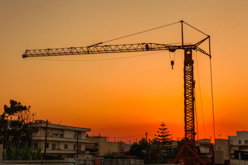 Silhouette Crane on Sunset Background in Greece. Summer time, Awesome atmosphere.