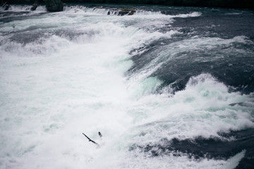View of a waterfall in the old European city of Schaffhausen