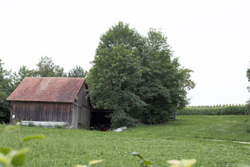 Obraz premium Old wooden house near the field in europe