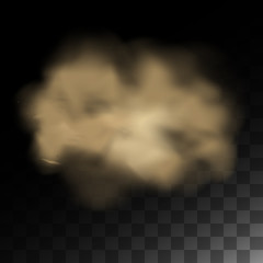 Cloud of dust, sand tornado with dirt, smell smog, dust cloud with particles. Realistic vector isolated on transparent background air with dust or dirt particles.