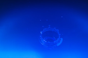 不規則な形を彩る、不規則な配色と今後の世の中のゆくえを占う