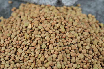 Green fresh and healthy lentil in a stock