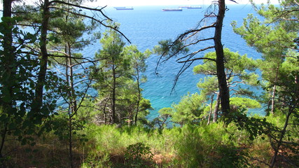 Obraz premium Caucasus_12