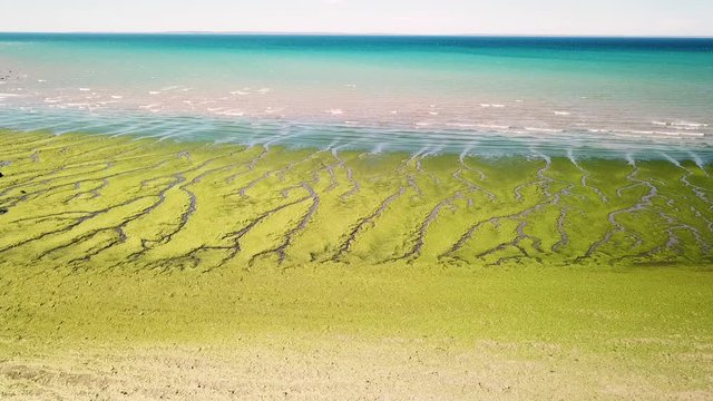 Aerial view of green algae on a beach in Península de Valdés. Argentina.