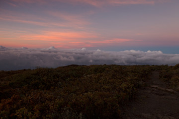 Haleakala hike