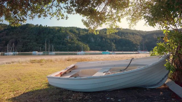 A dinghy pulled up on the shoreline
