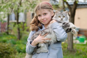Girl child holding in her arms beloved pet fluffy gray cat