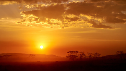 Obraz na płótnie Canvas Beautiful sunset in Serengeti, Tanzania. Taken from the 4X4 while on a game drive during a safari trip around Kenya and Tanzania. 