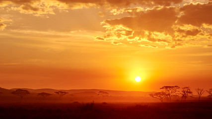 Fototapeta na wymiar Beautiful sunset in Serengeti, Tanzania. Taken from the 4X4 while on a game drive during a safari trip around Kenya and Tanzania. 
