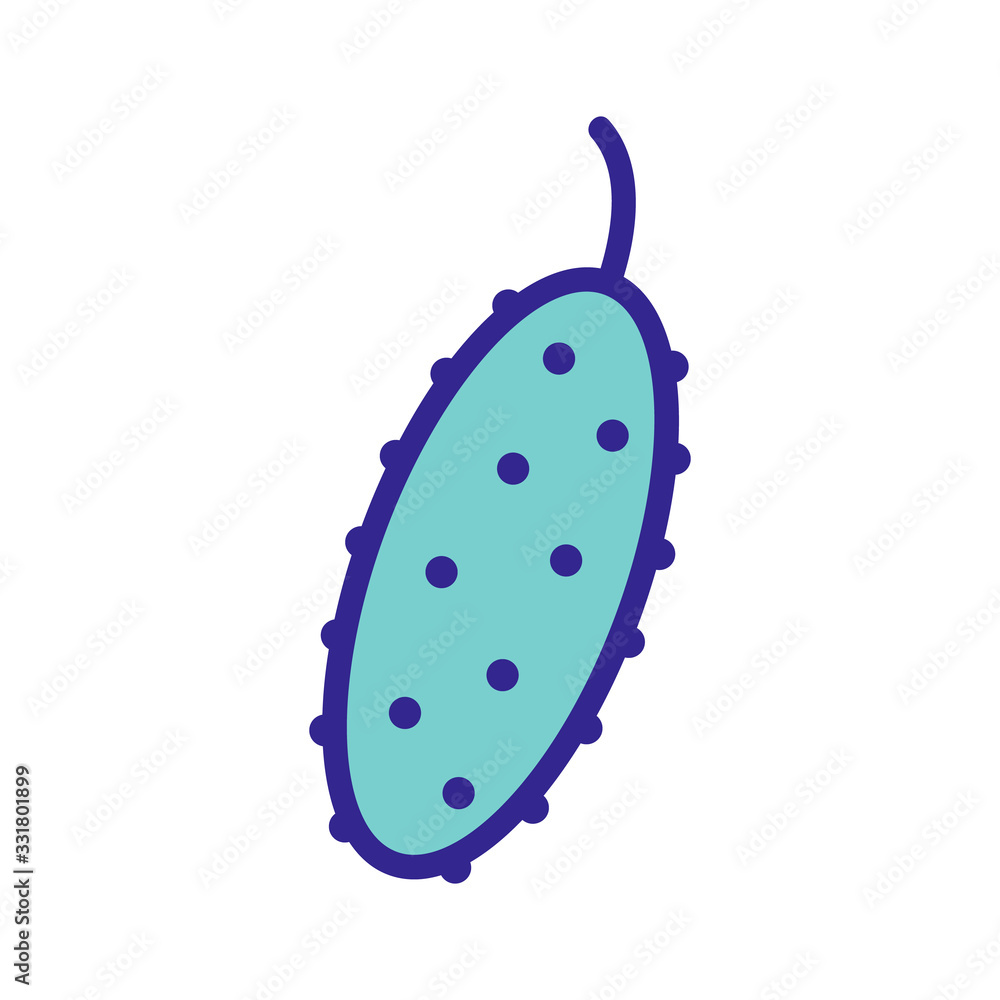 Poster cucumber prickly icon vector. cucumber prickly sign. color isolated symbol illustration
