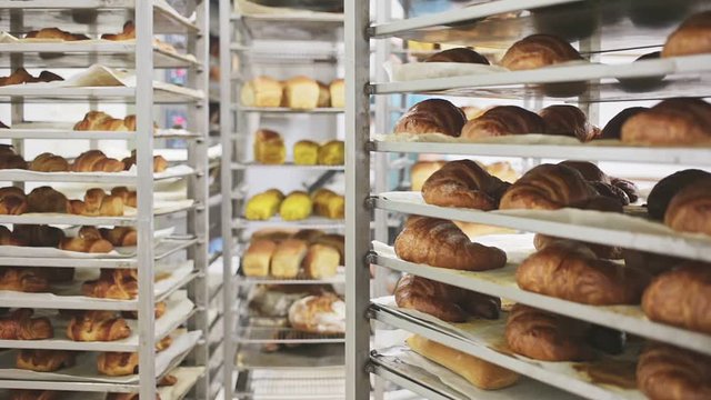 Appetizing fresh bread on rack in bakery