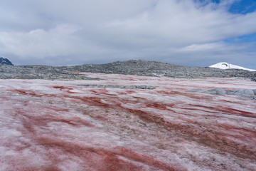 Red snow in antarctica landscape © David Katz