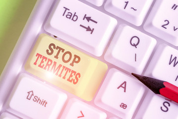 Writing note showing Stop Termites. Business concept for prevent a small tropical insect from...