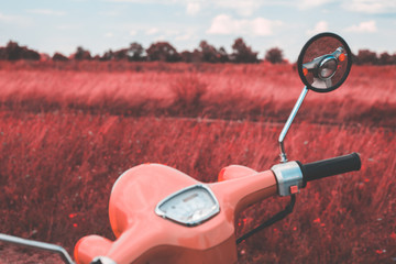 Pink vintage motorbike in the field