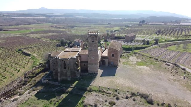 Aerial view of ruins of medieval monastery of Our Lady of Angels of Avinganya, Seros, Catalonia, Spain