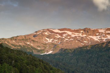 Naklejka premium Mountain range and forest in the Conguillio National Park.
