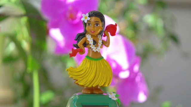 Hula Girl Doll dancing on the flowered background in 4K Slow motion 60fps