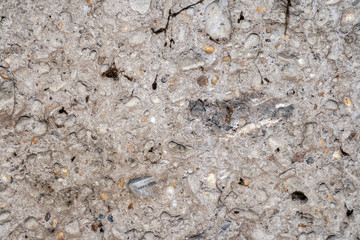 Texture of a concrete wall