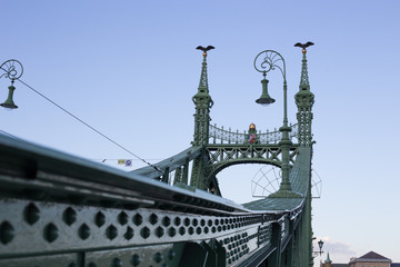 Nineteenth Century Old Metalic Green Freedom European Bridge in Budapest