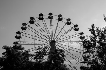 ferris wheel in park