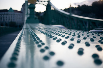 Nineteenth Century Old Metalic Green Freedom European Bridge in Budapest