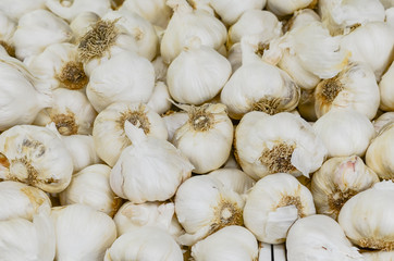 Jumbo garlic (elephant garlic) at farmer market in Washington, America