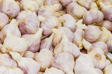 Heap of red garlic pile at farmer market in Washington, America