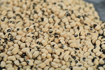 White dry beans spread over of the background