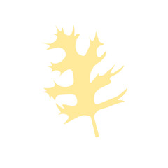 Beautiful abstract leave, great design for any purposes. Vector abstract background. Trendy vector illustration. Summer  floral decoration. Spring textile texture. Decorative color art. 