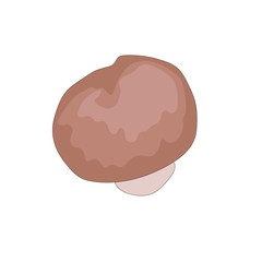 Beautiful mushroom  royal champignons, great design for any purposes. Vegan & vegetarian food. Organic nutrition. Vegan, vegetarian diet. Autumn background. Vector doodle illustration. Isolated white 