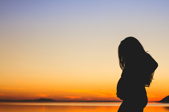 Gesta&ccedil;&atilde;o