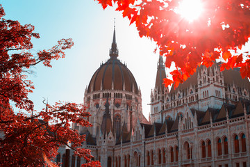 Old European Parliament Building in Budapest on a background of yellow autumn foliage