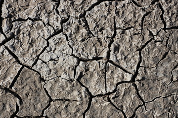 Grietas en suelo arenoso seco (textura)