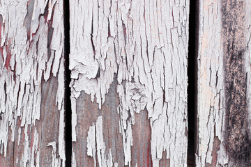 Old fence with peeling white paint and stains, closeup shot.