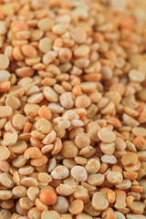 Yellow fresh and healthy beans for wholesale