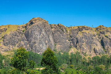 Beautiful view of tea plantations in Munnar, Kerala, India