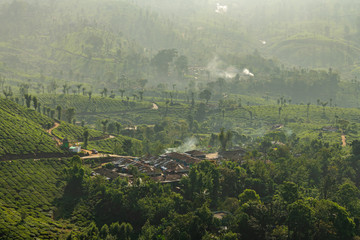Beautiful view of tea plantations in Munnar, Kerala, India