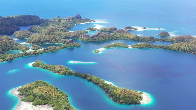 A collection of rock islands is found in Raja Ampat's beautiful seascape. This area in Indonesia is known to be the heart of marine biodiversity and is a popular destination for divers and snorkelers.