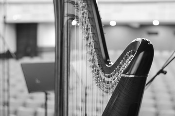 Harp music. Harp instrument closeup. Detail of musical instrument