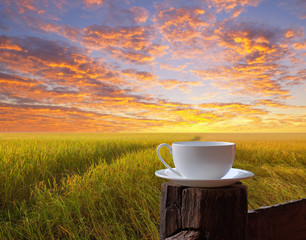A cup of coffee on wooden fence beside rice field in the morning sunrise.