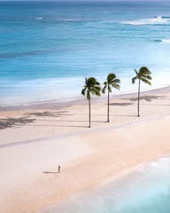 Frauen am Strand von Hawaii Palm Tree Beach Dukes © Benjamin