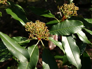 Fototapeta premium OLYMPUS DIGITAL CAMERA