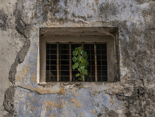 Fototapeta na wymiar Old window on weathered buildings.